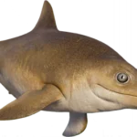 Ichthyosaurus_database_image_from_Evolution_2