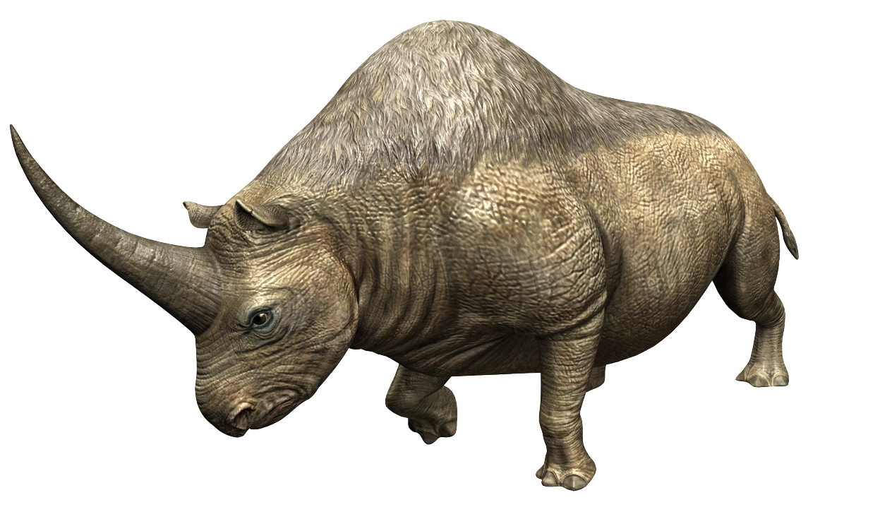 Elasmotherium