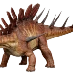 Kentrosaurus_render