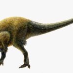 Kulindadromeus+by+Panzarin_8e01