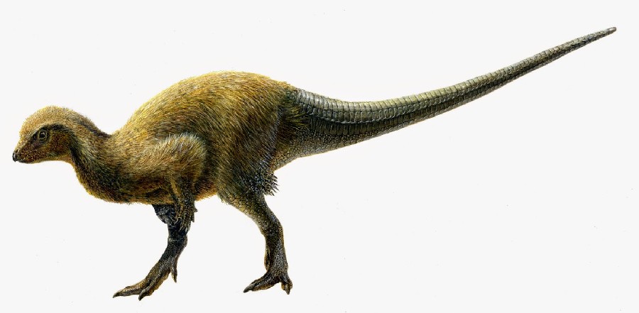 Kulindadromeus