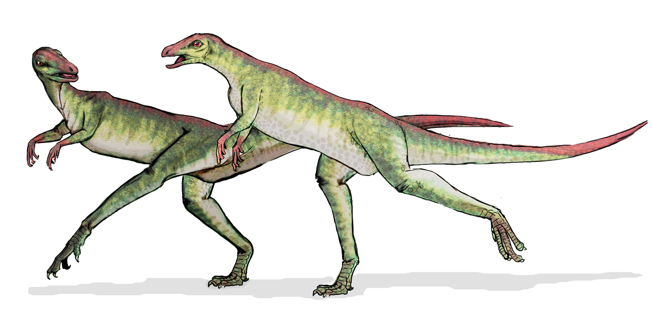 Lesothosaurus