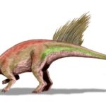 Liaoceratops_BW
