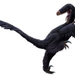 Luanchuanraptor Luanchuanraptor