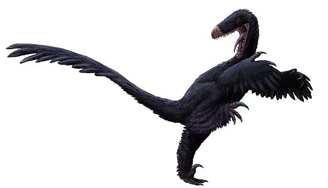 Luanchuanraptor