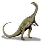 Massospondylus_BW