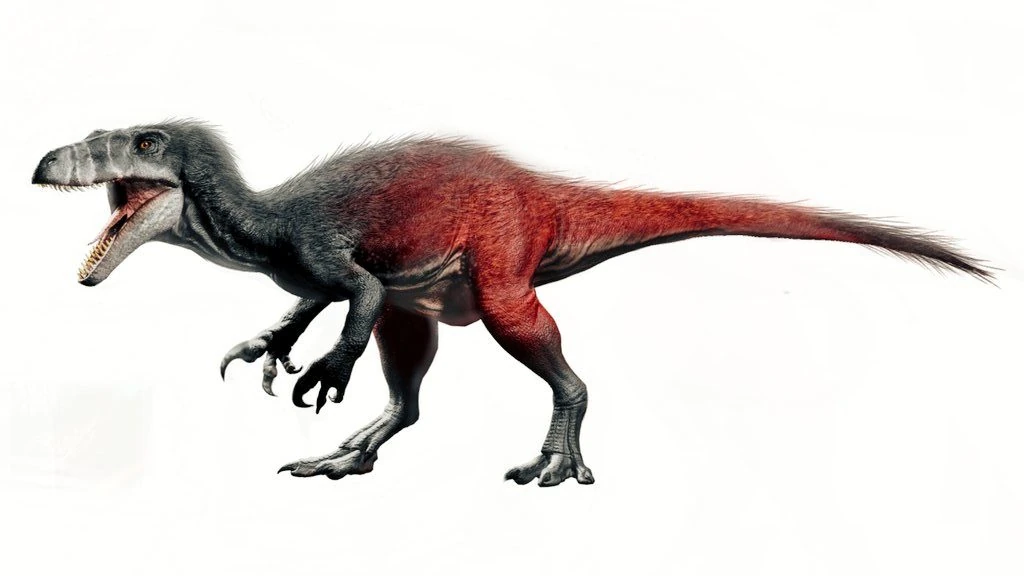 Megaraptor