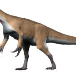 Murusraptor_NT_small