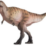 PNSO-Logan-the-Nanotyrannus