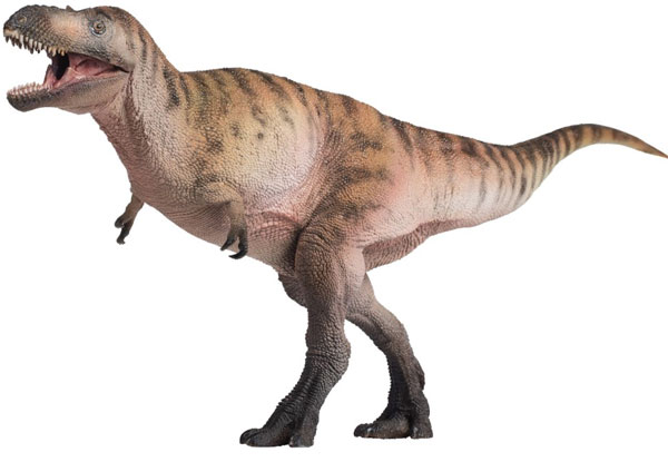 Nanotyrannus
