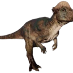 Pachycephalosaurus_JWE2_Profile