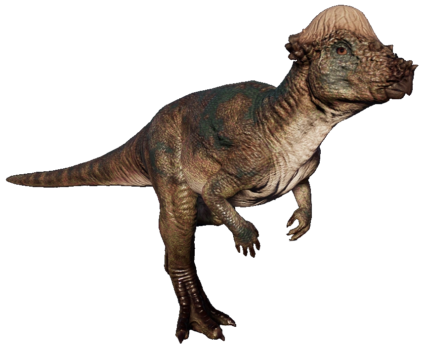 Pachycephalosaurus