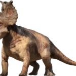 Pachyrhinosaurus PachyrhinosaurusPromo