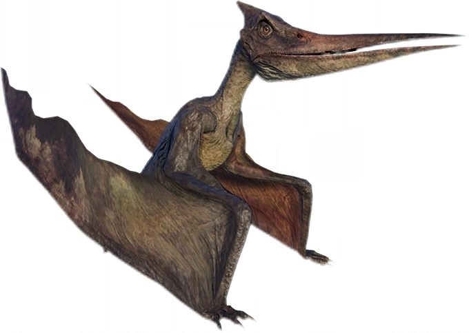 Pteranodon