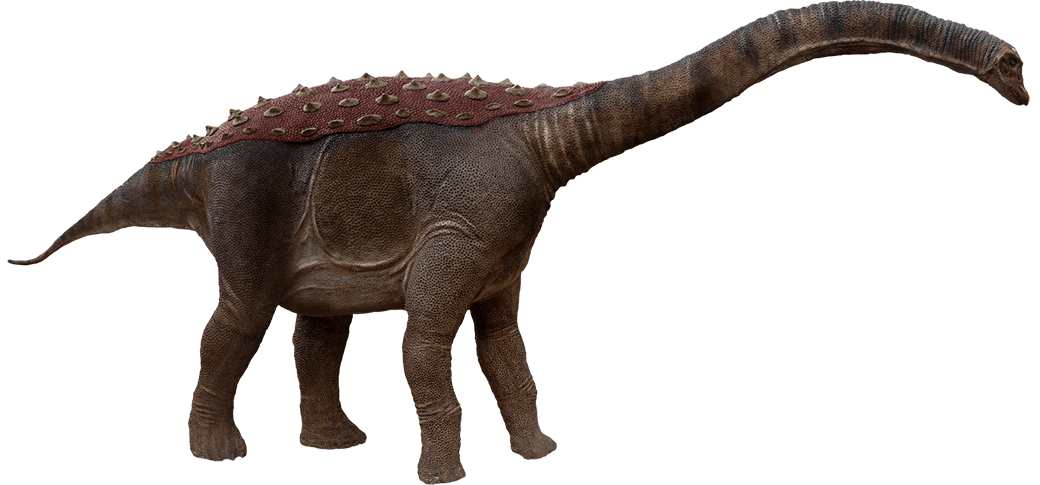Saltasaurus