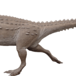 Scelidosaurus