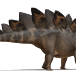 Stegosaurus_stenops_Life_Reconstruction