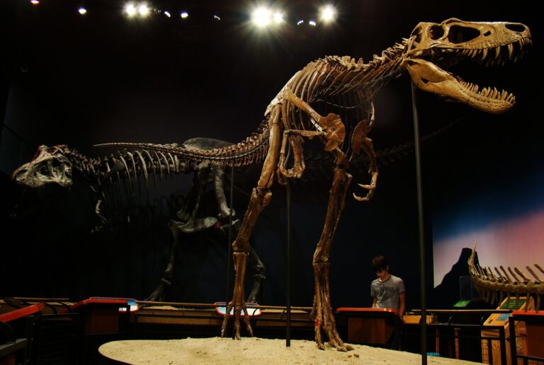 Nanotyrannus