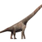 VSE8163f0_Sauroposeidon_proteles