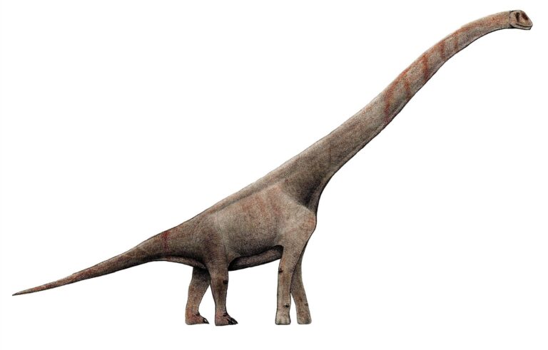 VSE8163f0_Sauroposeidon_proteles