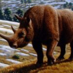 Woolly_rhinoceros_(Coelodonta_antiquitatis)_-_Mauricio_Antón
