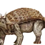 ancanthopholis.jpg