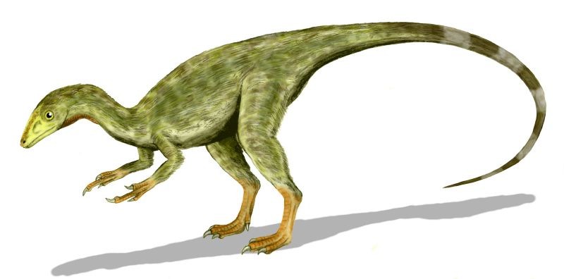 Aristosuchus