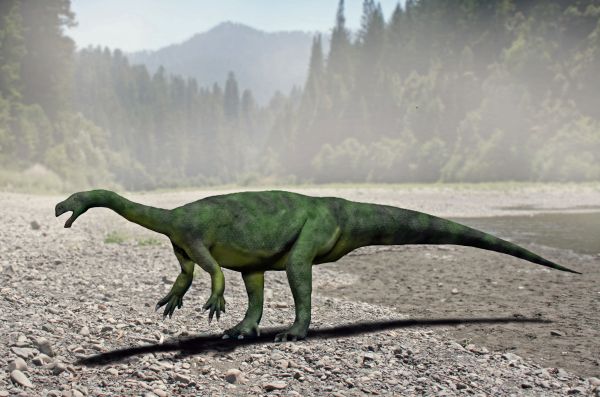Aardonyx celestae