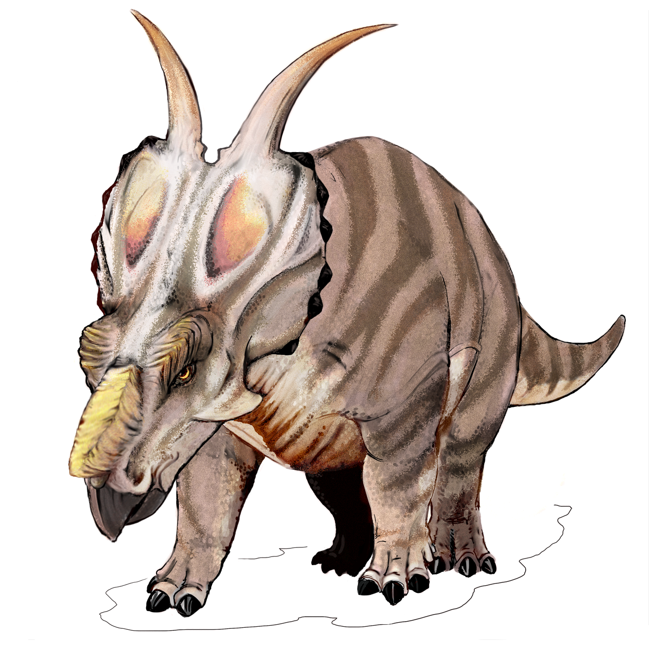 Achelousaurus