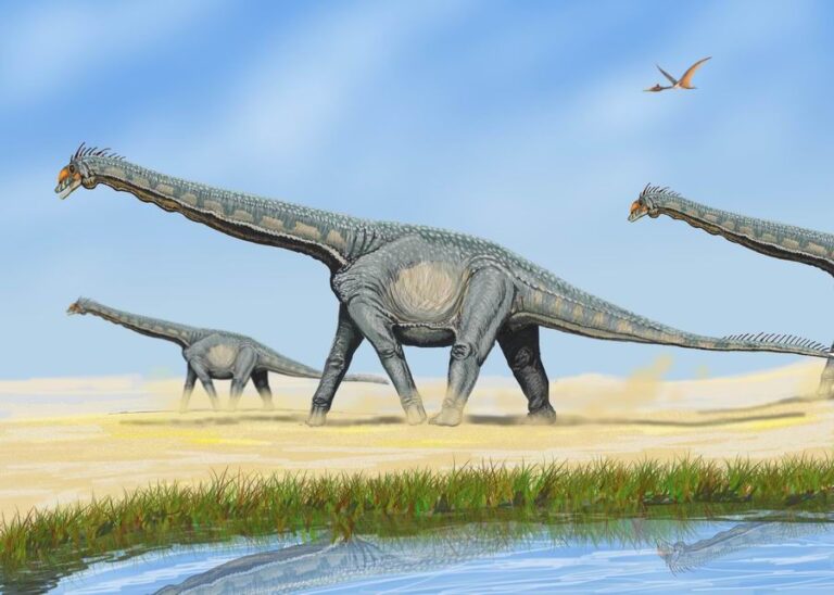 Alamosaurus (Alamosaurus)