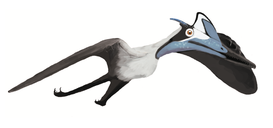 Pterodactylus