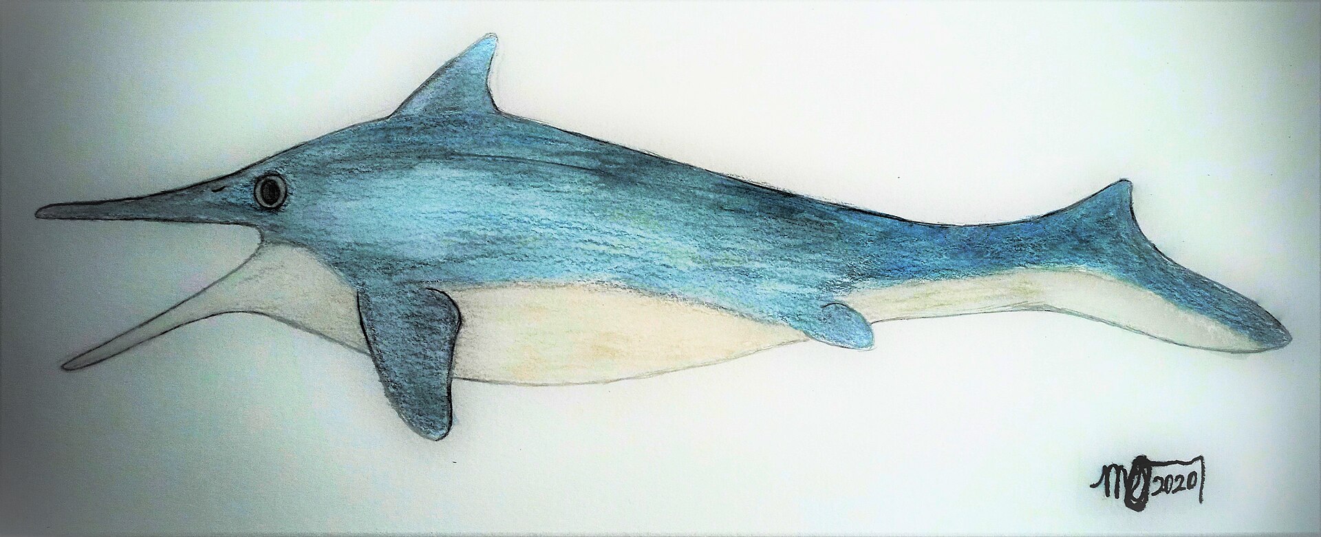Mixosaurus