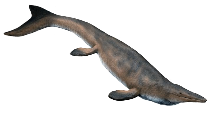 Mosasaurus