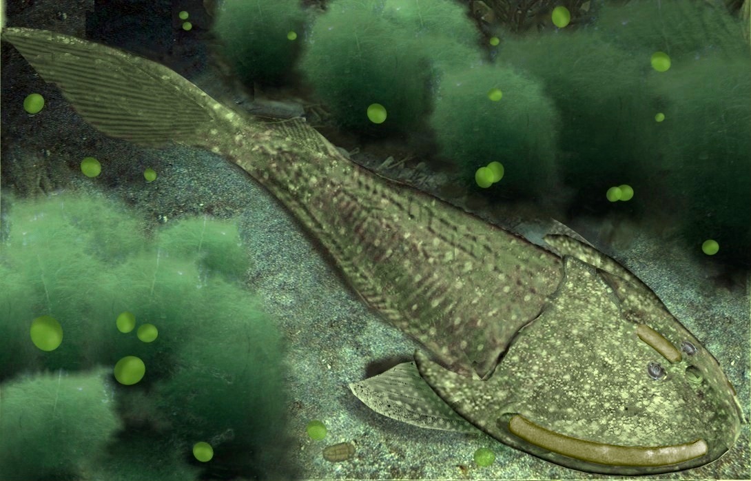 Cephalaspis
