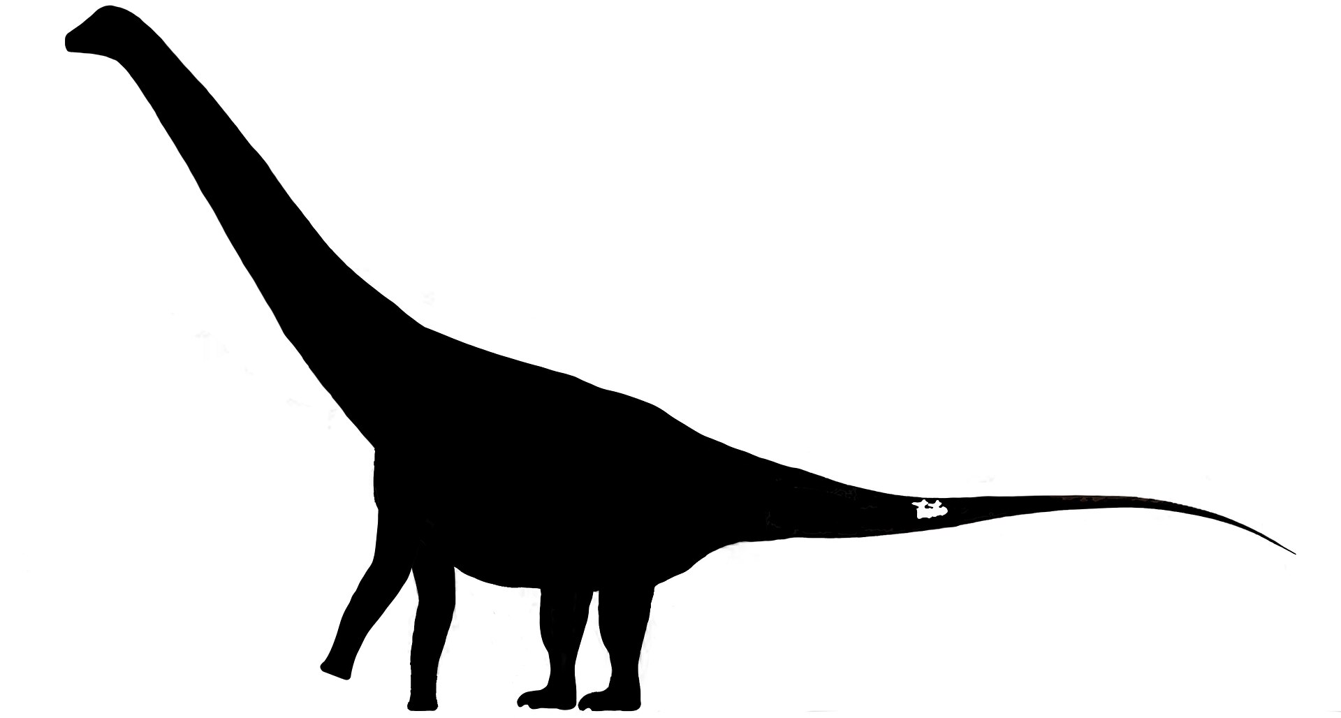 Titanosaurus