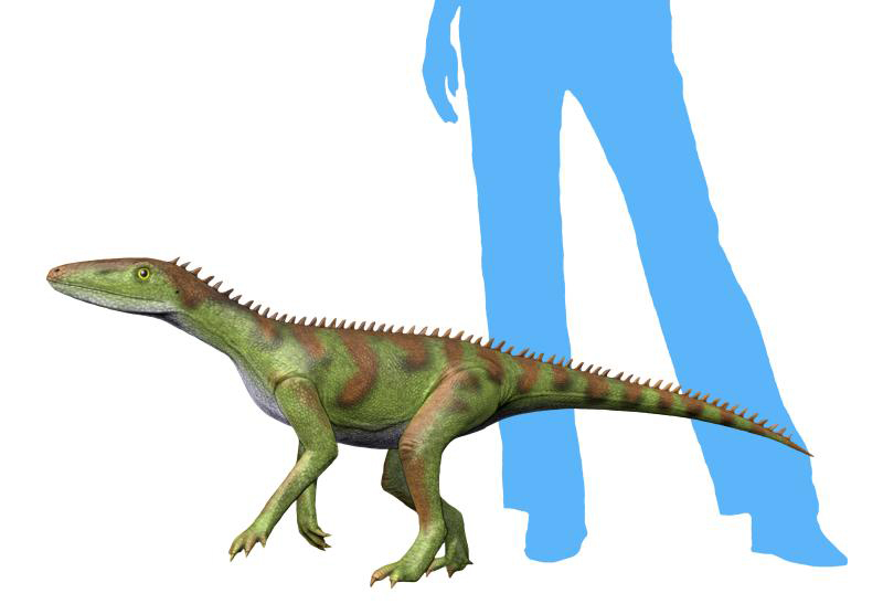 Lewisuchus