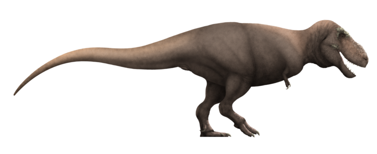 Tarbosaurus (Tarbosaurus)