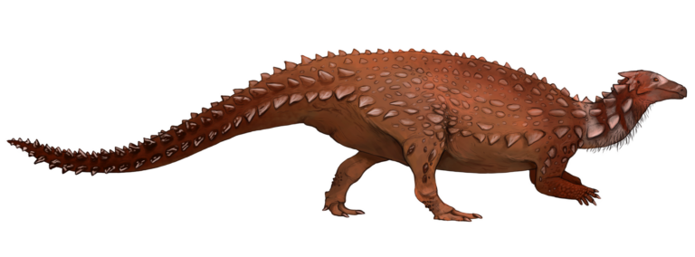 Scelidosaurus (Scelidosaurus)