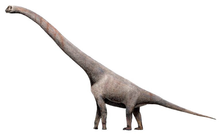 Sauroposeidon
