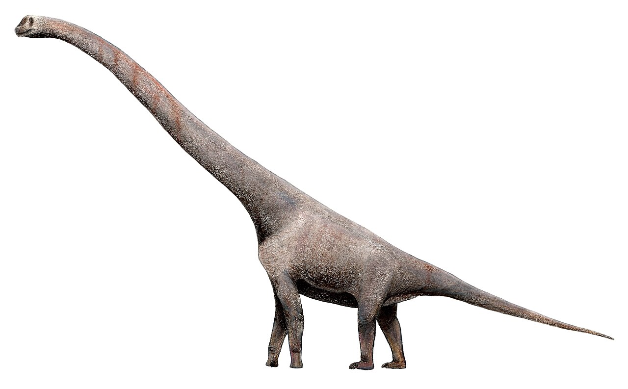 Sauroposeidon