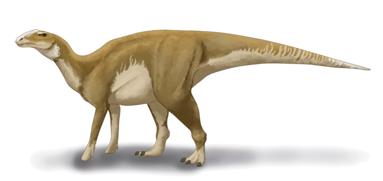 Hadrosaurus (Hadrosaurus)