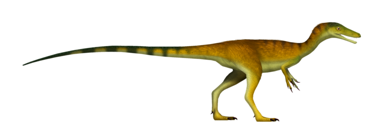 Compsognathus (Compsognathus)