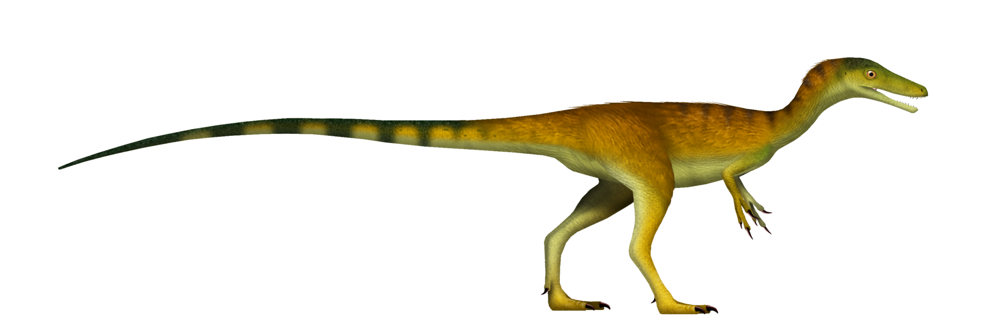 Compsognathus