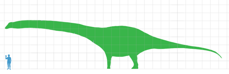 Dreadnoughtus (Dreadnoughtus)