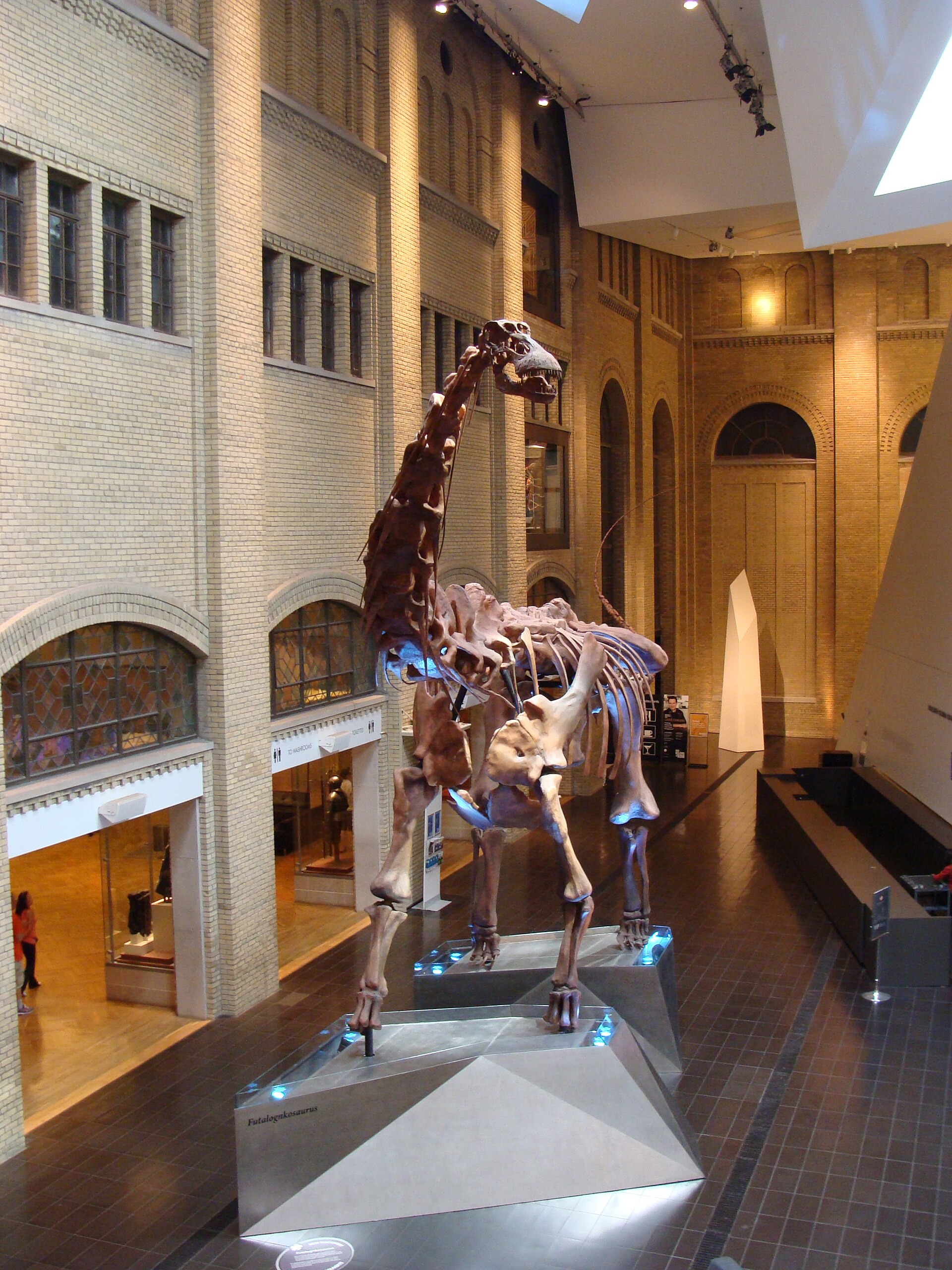 Futalognkosaurus