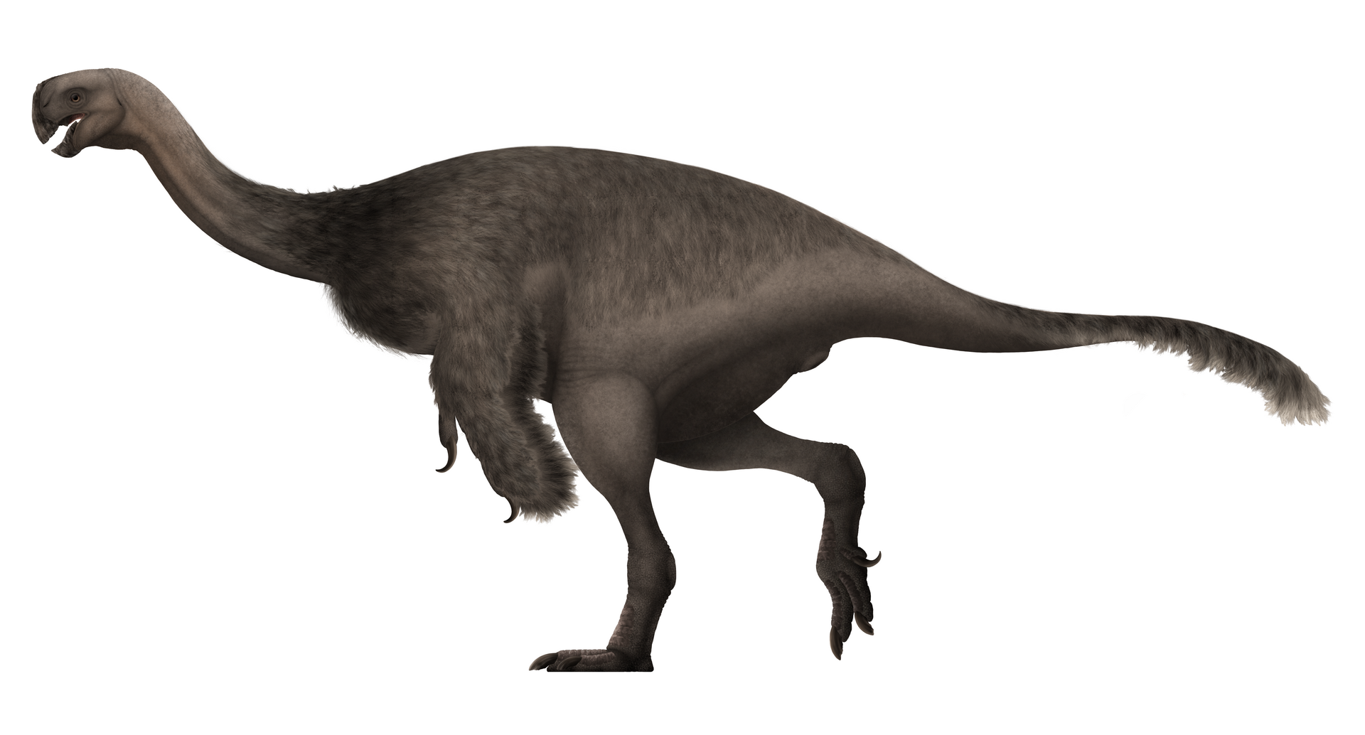 Gigantoraptor