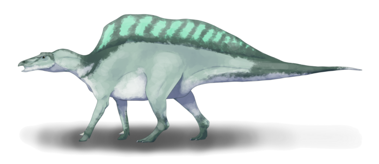 Ouranosaurus (Ouranosaurus)