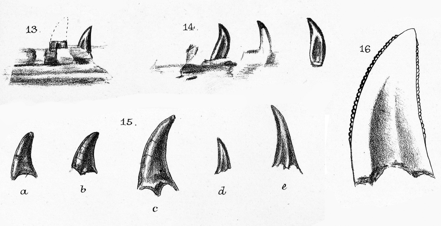Nuthetes