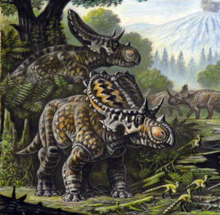 Mercuriceratops (Mercuriceratops)