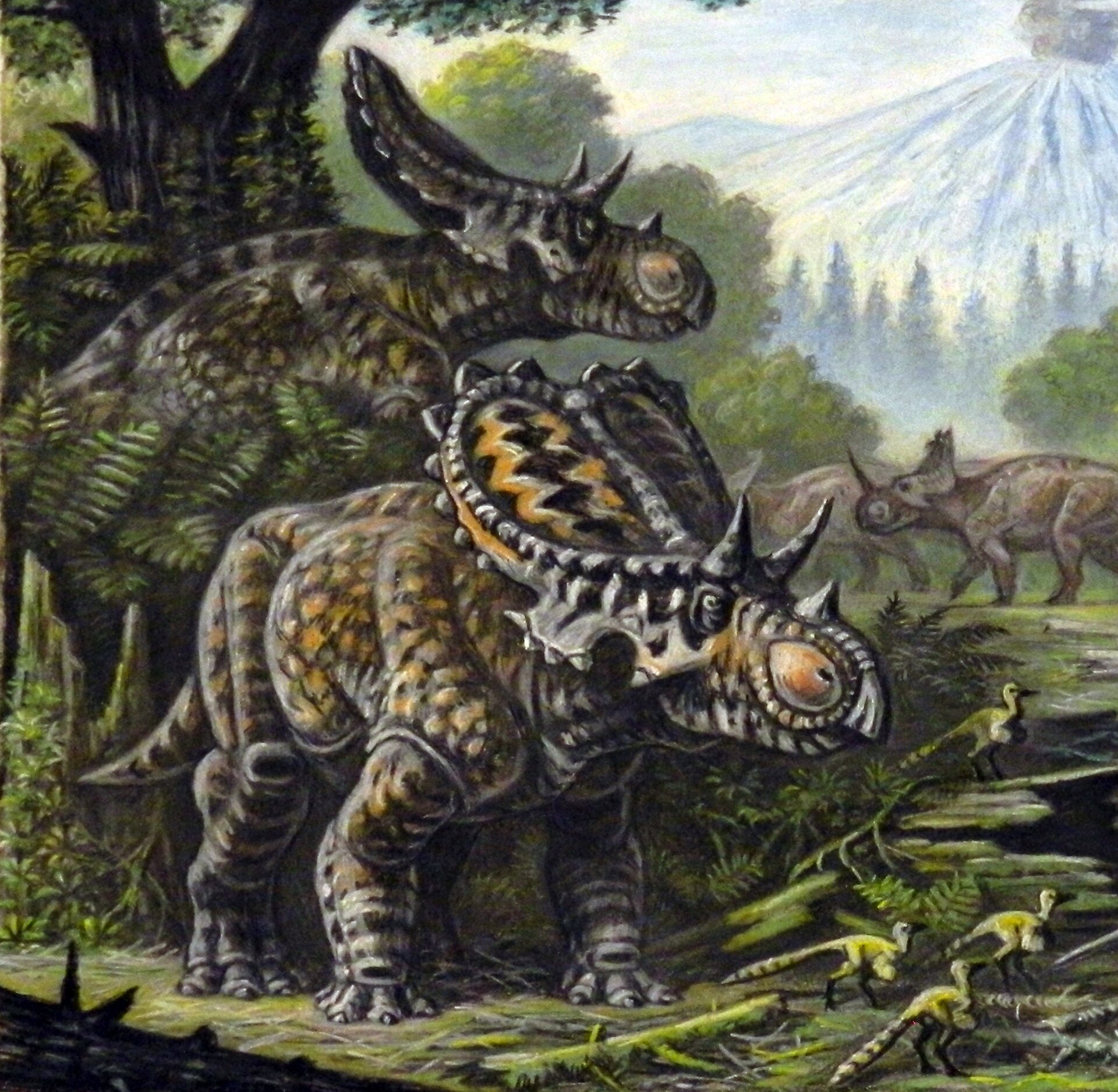 Mercuriceratops